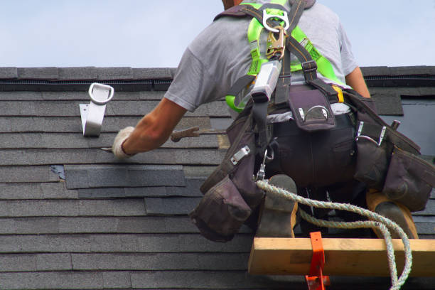 Best Roof Gutter Cleaning  in Beecher, IL