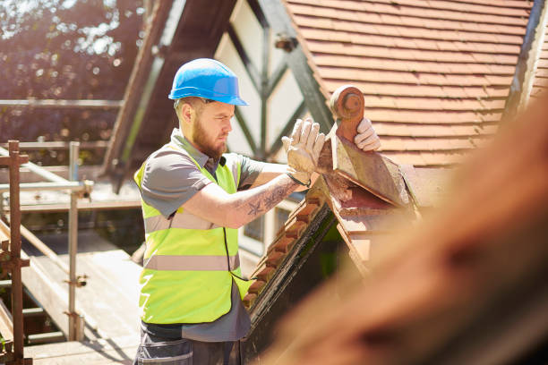 Best Roof Waterproofing Services  in Beecher, IL