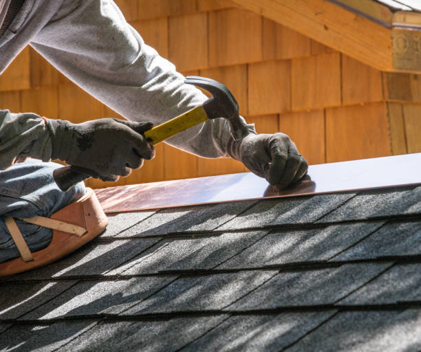 Best Metal Roofing Contractor  in Beecher, IL